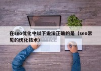 在seo优化中以下说法正确的是（seo常见的优化技术）